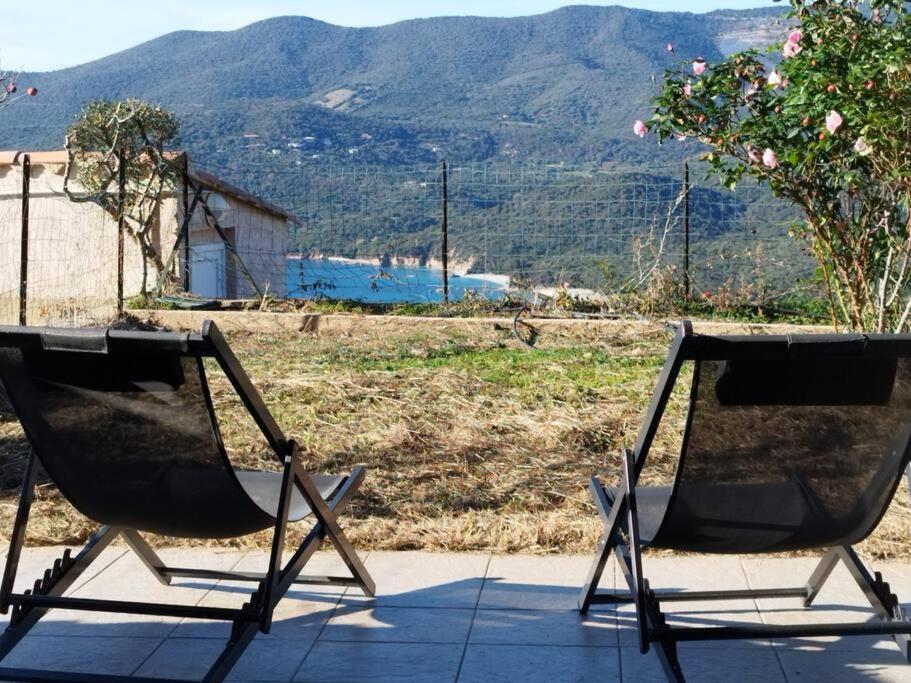 Chez Adrien 108-Appartement Magnifique Vue Mer Piscine Chauffee 赛拉蒂费罗 外观 照片