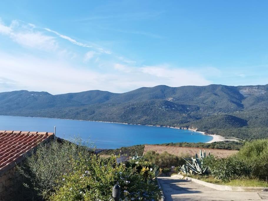 Chez Adrien 108-Appartement Magnifique Vue Mer Piscine Chauffee 赛拉蒂费罗 外观 照片